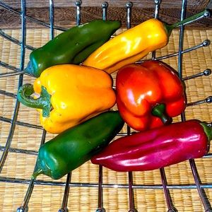 🆕ARTIFICIAL PEPPER BUNDLE: VARIOUS